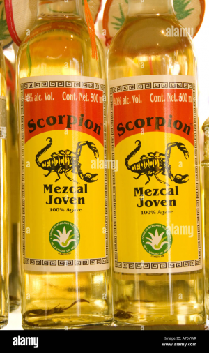 Zzzzz 1696045029mezcal — Alcohol Tierlist option 93
