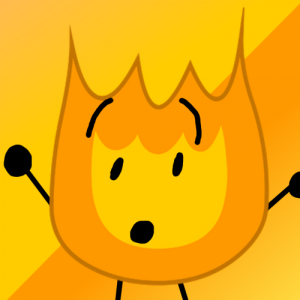 Firey — BFB camp option 24