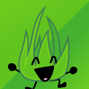 Grassy — BFB camp option 32