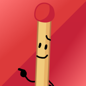 Match — BFB camp option 40