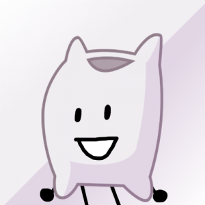 Pillow — BFB camp option 48