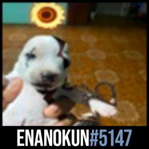 Enanokun5147 — Transformice - Cafeteros ES septiembre 2023 option 43