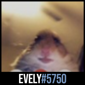 Evely5750 — Transformice - Cafeteros ES septiembre 2023 option 47