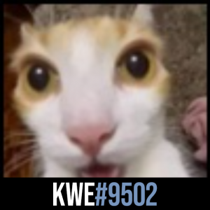 Kwe9502 — Transformice - Cafeteros ES septiembre 2023 option 72