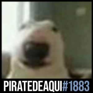 Piratedeaqui1883 — Transformice - Cafeteros ES septiembre 2023 option 101