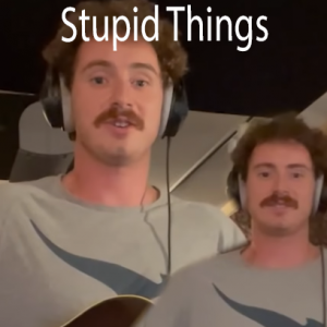 Stupid Things — Tom Cardy Songs (Updated for TDFATEOTU) option 64