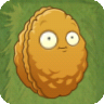 Растения в PvZ 2 — option 77