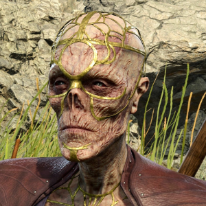 Baldurs Gate 3 Withers — Baldur's Gate 3 Characters option 12