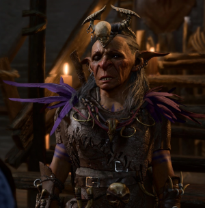Gut — Baldur's Gate 3 Characters option 28