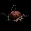 Uscompanionbg3wikiguide160px — Baldur's Gate 3 Characters option 48