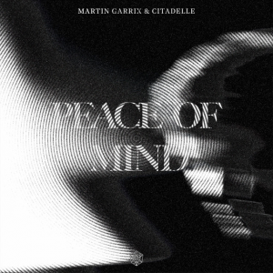 Zzzzz 1756546079ab67616d0000b27349732cfb5e4d338542622f28 — Martin Garrix Tierlist option 109
