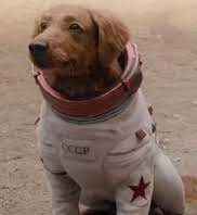 Cosmo — 250 Diff Marvel MCU Hero's & Side Character's (non-villain) option 38