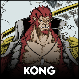 Kong — One piece tamplate option 65