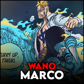 Marco — One piece tamplate option 74