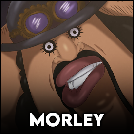 Morley — One piece tamplate option 77