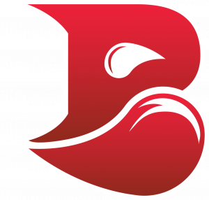 Bleedesports2023allmode — Valorant Partnered Teams 2024 option 6