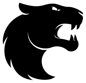Furiaesportslogosvg — Valorant Partnered Teams 2024 option 11