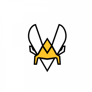 Team Vitality — Valorant Partnered Teams 2024 option 31