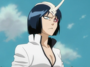 9d7d3b54b31030b0a80de727b891448fpng — Bleach waifus (all) option 12