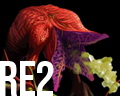 Resident Evil Enemies - Original Trilogy & Code: Veronica — option 26