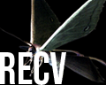 Resident Evil Enemies - Original Trilogy & Code: Veronica — option 63