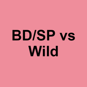 190png — All Pokemon Battle Soundtracks (Gen 1-9) option 190