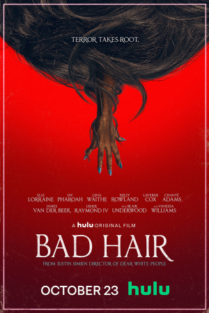 Zzzzz 1670040915badhairpng — 2020 Movies option 12