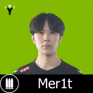 Hou Mer1tpng — Tierlist "DPS" Overwatch League 2022 option 27