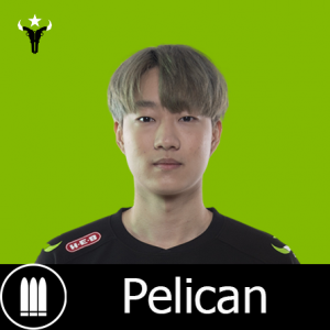 Hou Pelicanpng — Tierlist "DPS" Overwatch League 2022 option 28