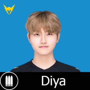 Val Diyapng — Tierlist "DPS" Overwatch League 2022 option 59
