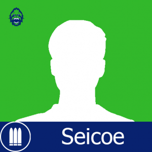 Van Seicoepng — Tierlist "DPS" Overwatch League 2022 option 65