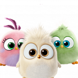 M Hatchlings — Angry Birds Character Tier List (Games/Media) option 64