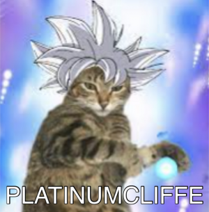 Img6215 — The Ultimate Pabverse Tier List option 89