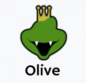 Olivejpg — CSTAT Smash Spring 2023 revision option 51