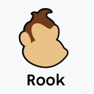 Rookjpg — CSTAT Smash Spring 2023 revision option 60