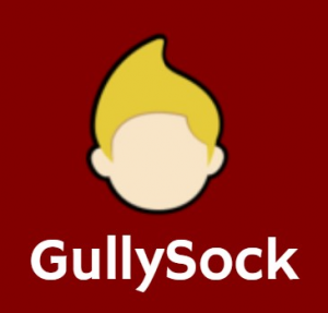 Zzgullysockjpg — CSTAT Smash Spring 2023 revision option 83