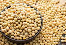Screen Shot 2022 07 27 At 91428 Pmpng — TOP 25 PROTEIN SOURCES option 10