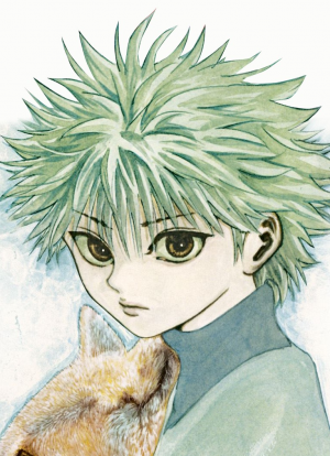 Zzzzz 1767830758killua1 — MilesRS Favorite Characters of All Time option 36