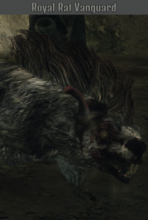 Royal Rat Vanguardpng — ALL DARK SOULS BOSSES option 68