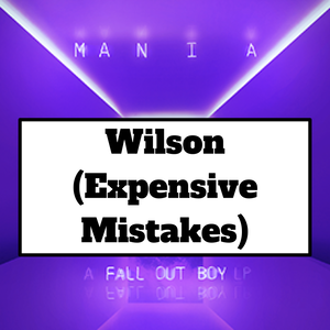 Untitled Presentation 16 — Every Fall Out Boy Song (2023 with SMFS & Fire) option 43