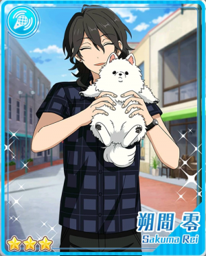 Pair 20bpng — Rei Sakuma Cards - All Of Them option 22