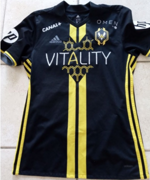 Zzzzz 172442551220240823170356 — Maillots Team Vitality option 4