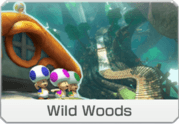 Z11png — Mario Kart 8 DX - All Tracks (Booster Course Pass Wave 4) option 66