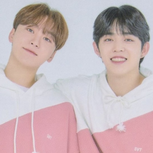 Zzzzz 1671083900eb53f9e8 E342 4c20 Bd8f 75727cd141d2jpeg — Favorite Seventeen Ship option 10