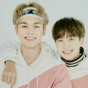 Zzzzz 167108471022b479c8 0125 4381 98e3 F77c3b2ddc44jpeg — Favorite Seventeen Ship option 22