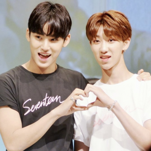 Zzzzz 1671088514f27f769e 6a1b 4700 B9b1 39a9c5cf6e93jpeg — Favorite Seventeen Ship option 69