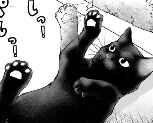 Gomanosukepng — The Definitive Kaguya-sama Character Tier List By Noddy option 11