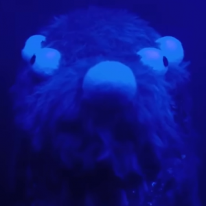 17png — Don't Hug Me I'm Scared TV Series Season 1 Characters option 17