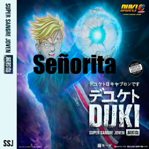 Zzzzz 1679268738104 Seoritapng — TODAS las Canciones de DUKI (284 canciones) option 104