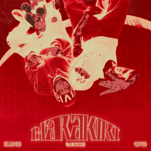 Zzzzz 1681462222279 Harakiri Rmx Ft Cro — TODAS las Canciones de DUKI (284 canciones) option 279